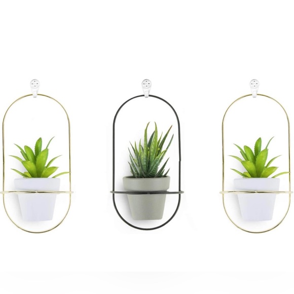 Set of 3 hanging wall planters - Picture 1 of 3